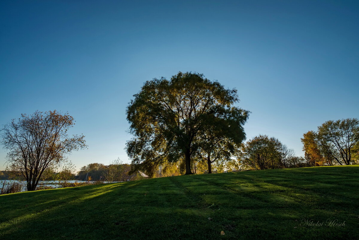 Солнце за кроной... - Николай Гирш