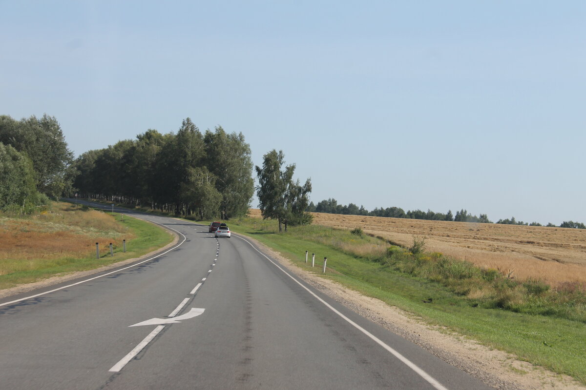 ПО ДОРОГЕ ЛЕТНИМ ДНЕМ... - Валентина 