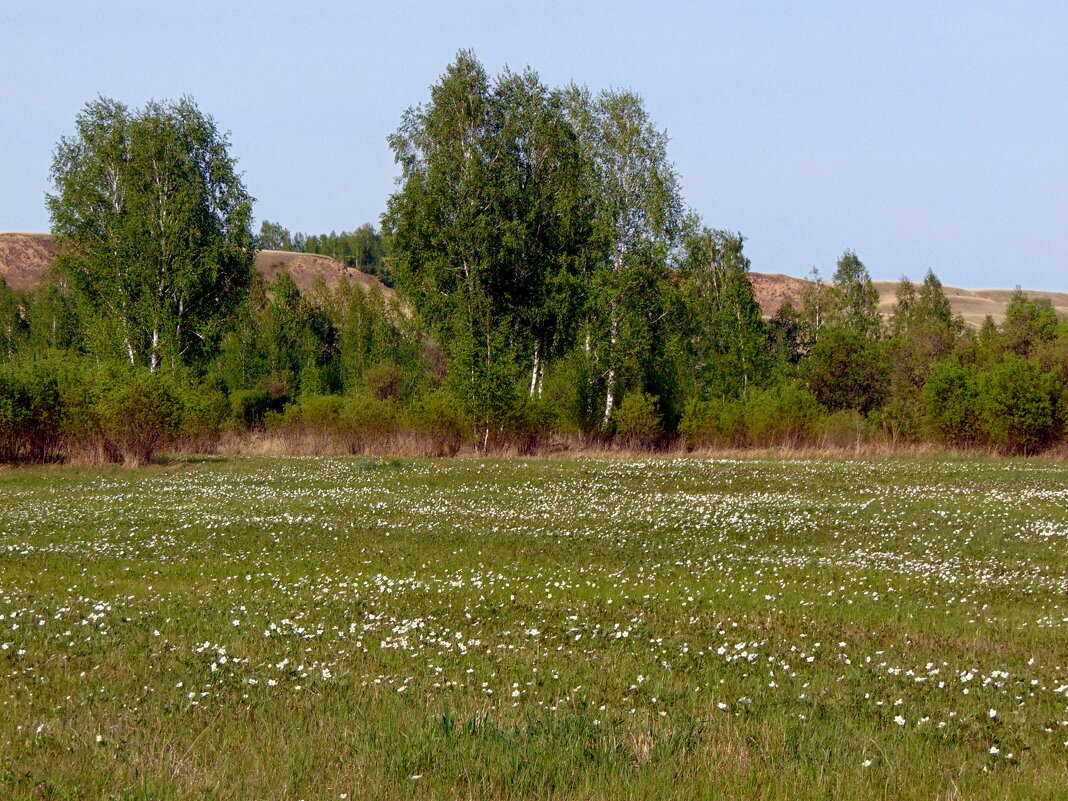 Весенний день погожий. - nadyasilyuk Вознюк
