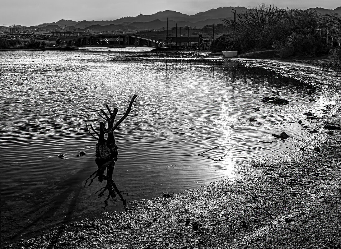 Солёный пруд - Eugene *