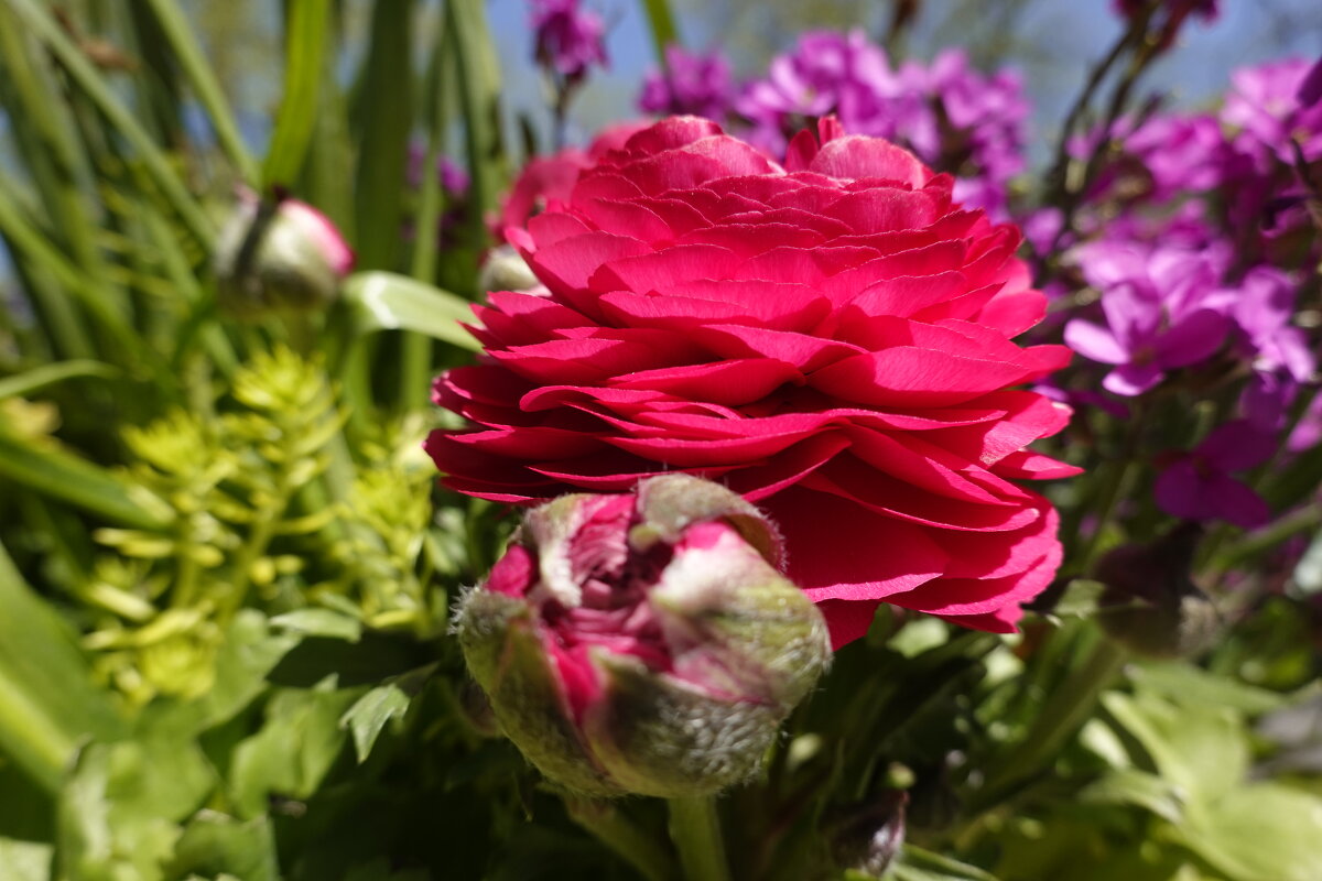 Апрельская палитра... - Галина 