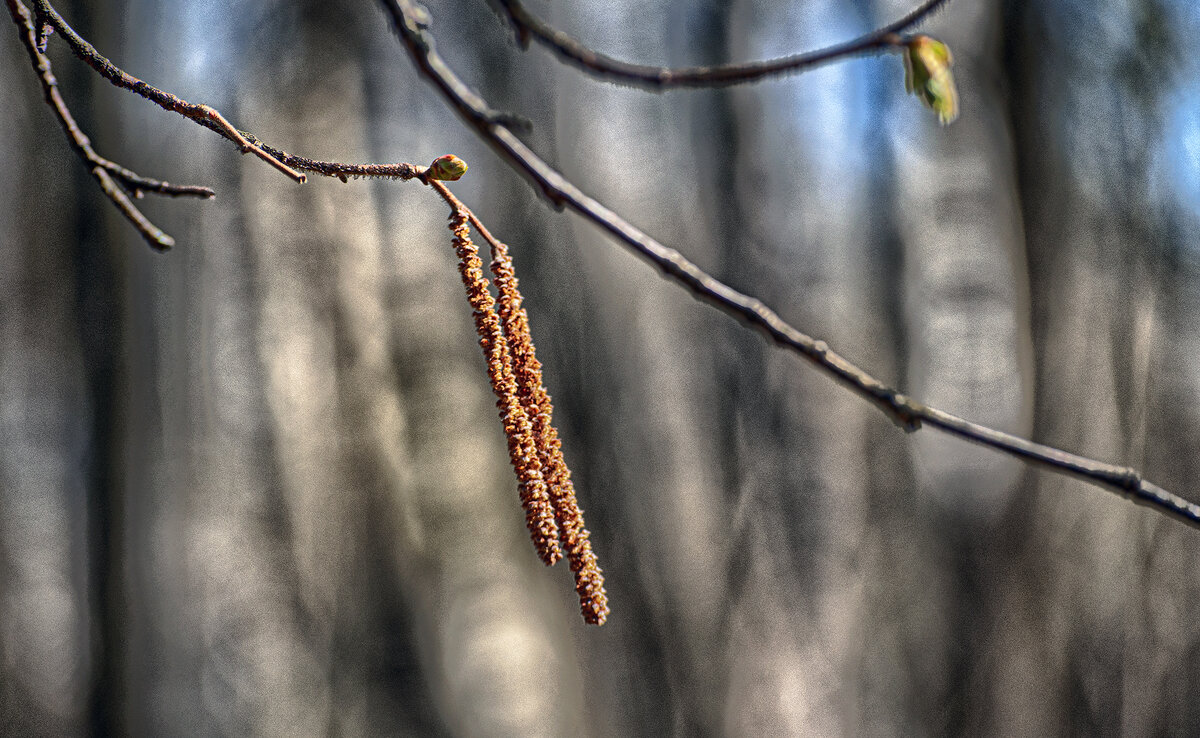 В парке Малевича - Юрий Яньков