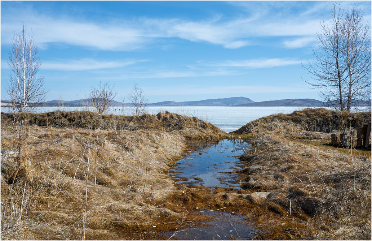 *** - Алексей Мезенцев