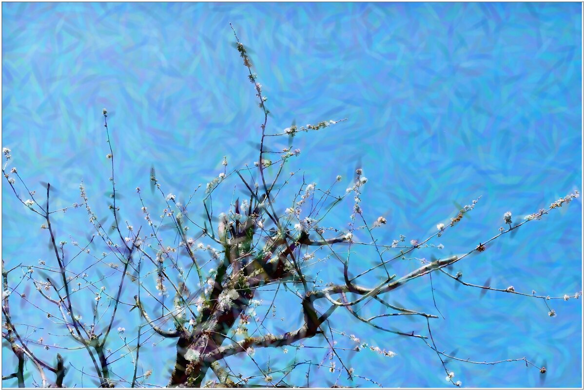 ЗДРАВСТВУЙ МАЙ! - Elvira E. 