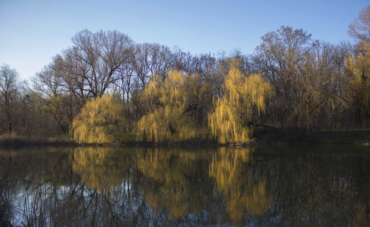 Весна. - Александр. AVG100 ---