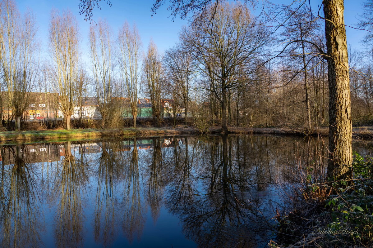 Пруд на окраине... - Николай Гирш