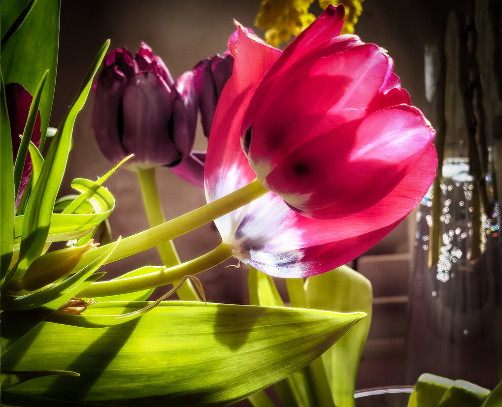 Пронизанные светом. - Лилия *