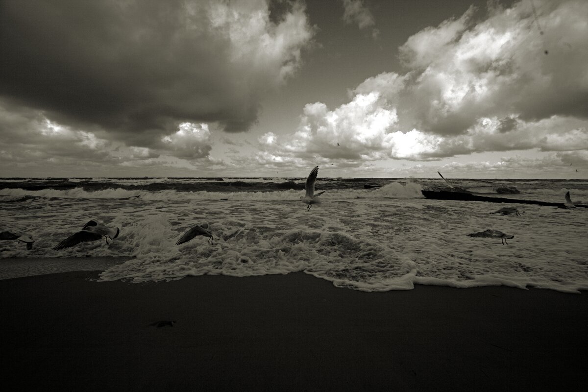 Осенняя Балтика - Виктор Савельев