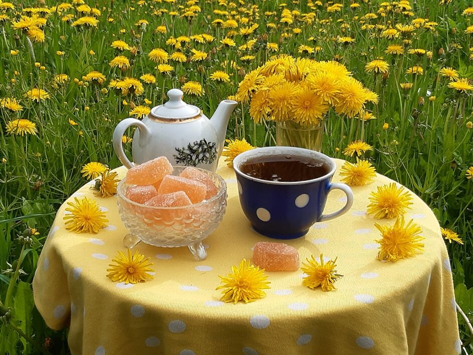 Среди солнечных цветов! - Нина Андронова