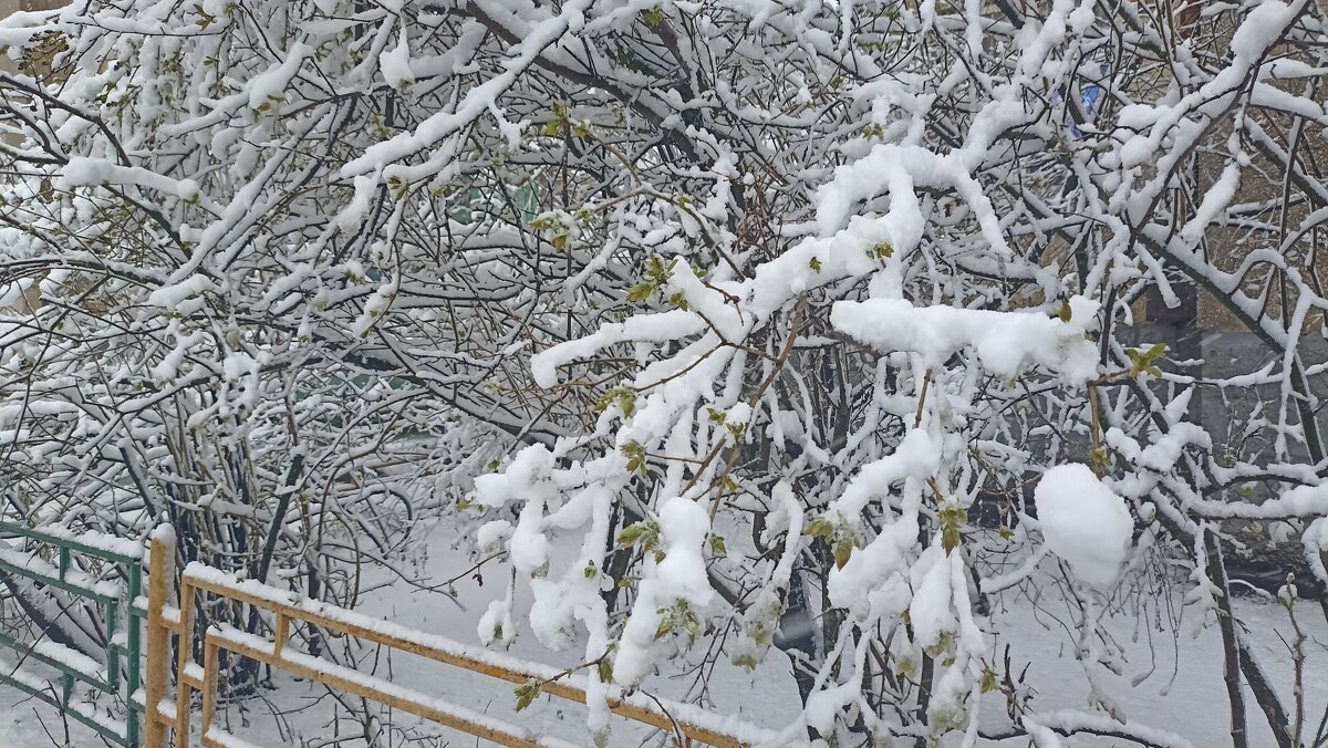 Апрельский снег - Татьяна Тюменка