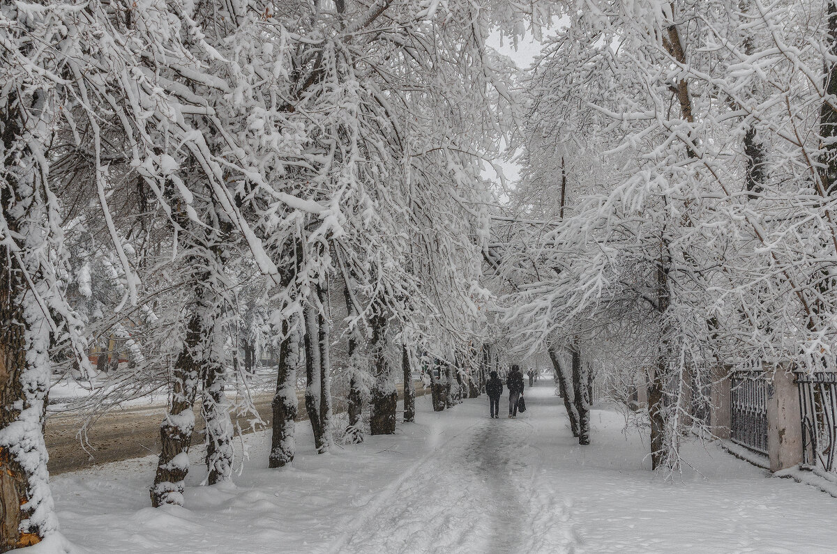 Снежный апрель - Виктор Иванович Чернюк