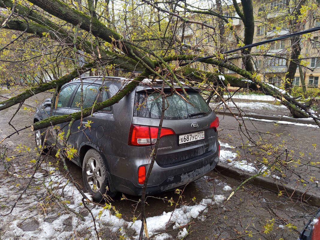 И нас не обошла сия чаша. Но здесь еще и повезло - Андрей Лукьянов