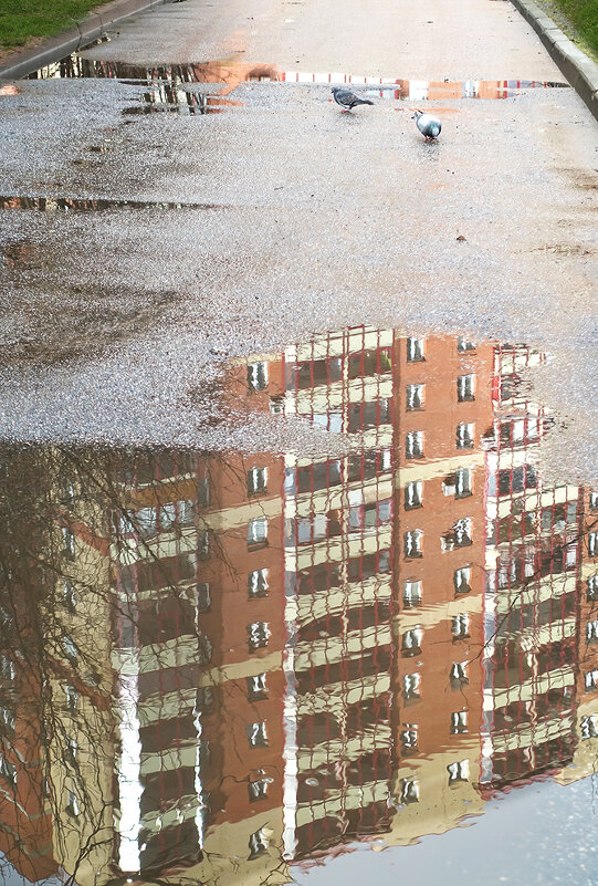 Любителям заглянуть в лужу..) - Bosanat 