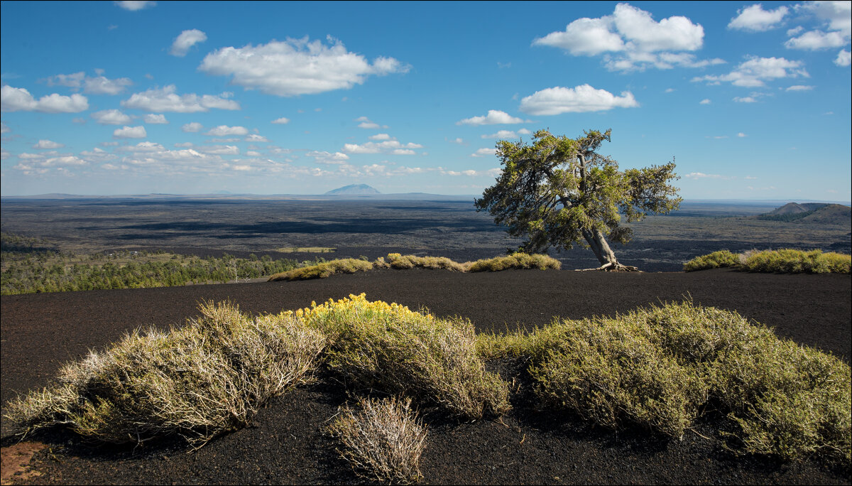 Среди долины... - **** vedin