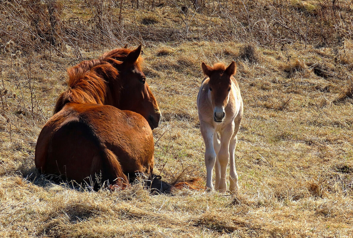 С Мамой - Valentina K