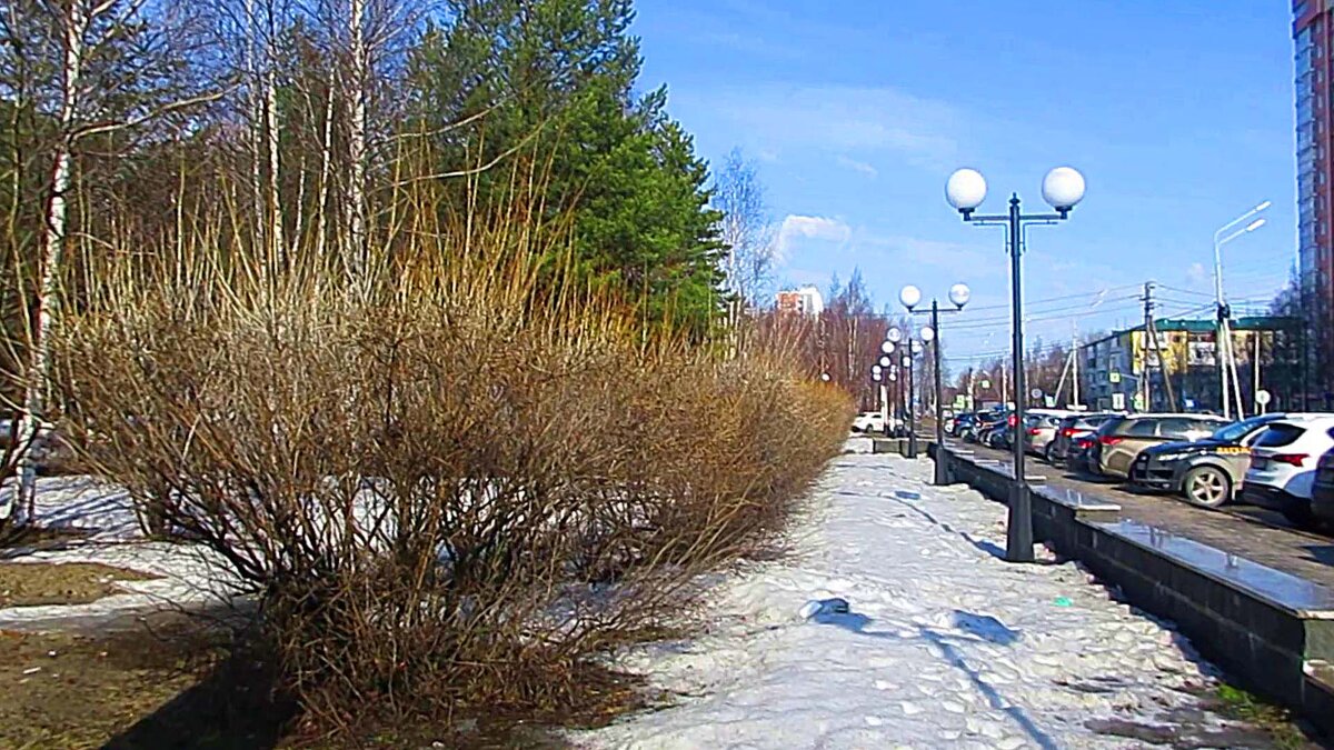 Апрель...Вид на сквер Победы! - Владимир 