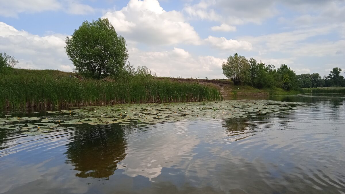 Усманка   хорошо. когда за городом в двух шагах от города - Елена Шаламова