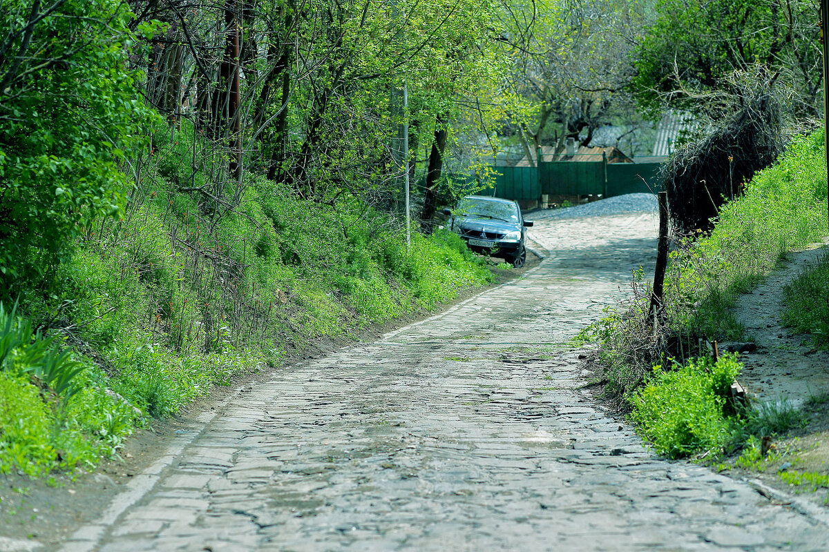 Зелень и авто - Юрий Гайворонскiий