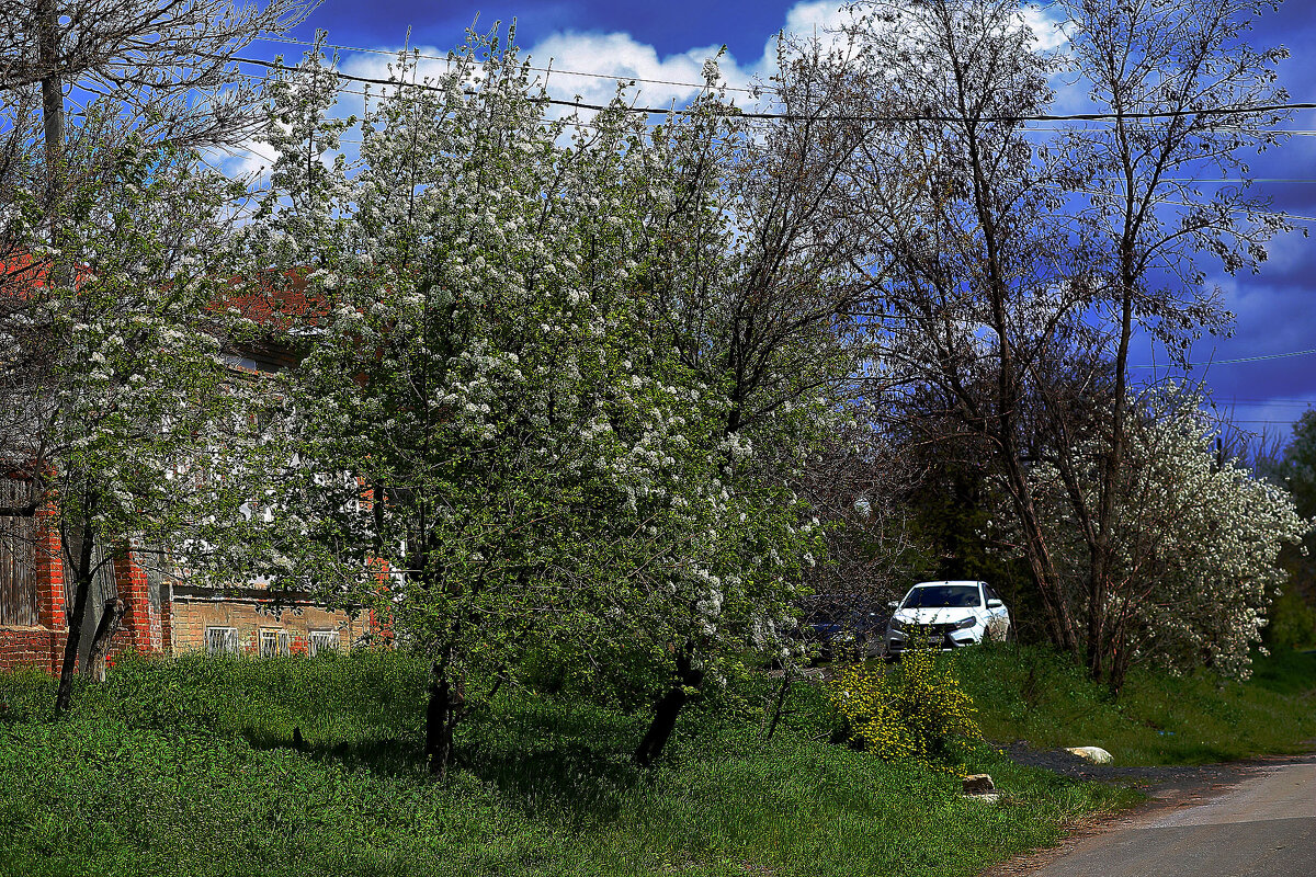 Зелень. небо и авто - Юрий Гайворонскiий