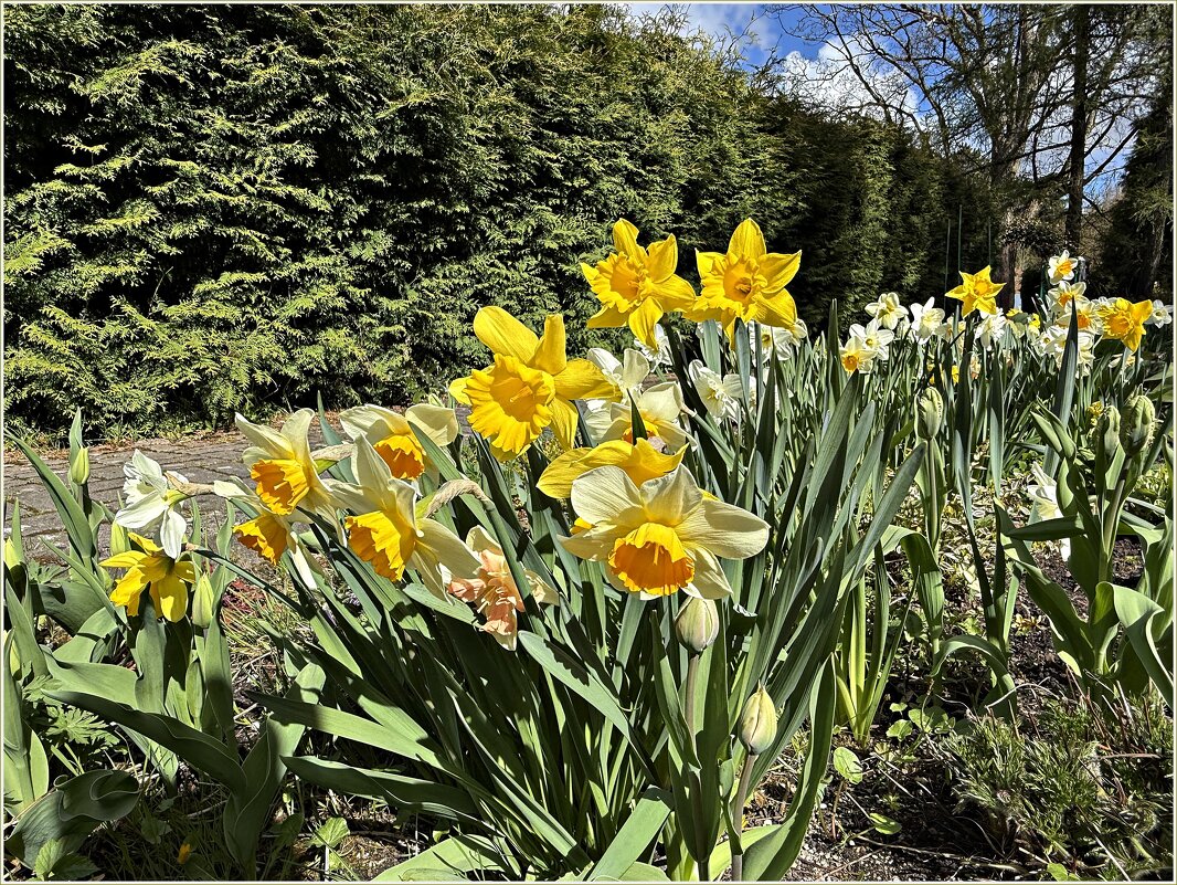 ******** - Валерия Комова