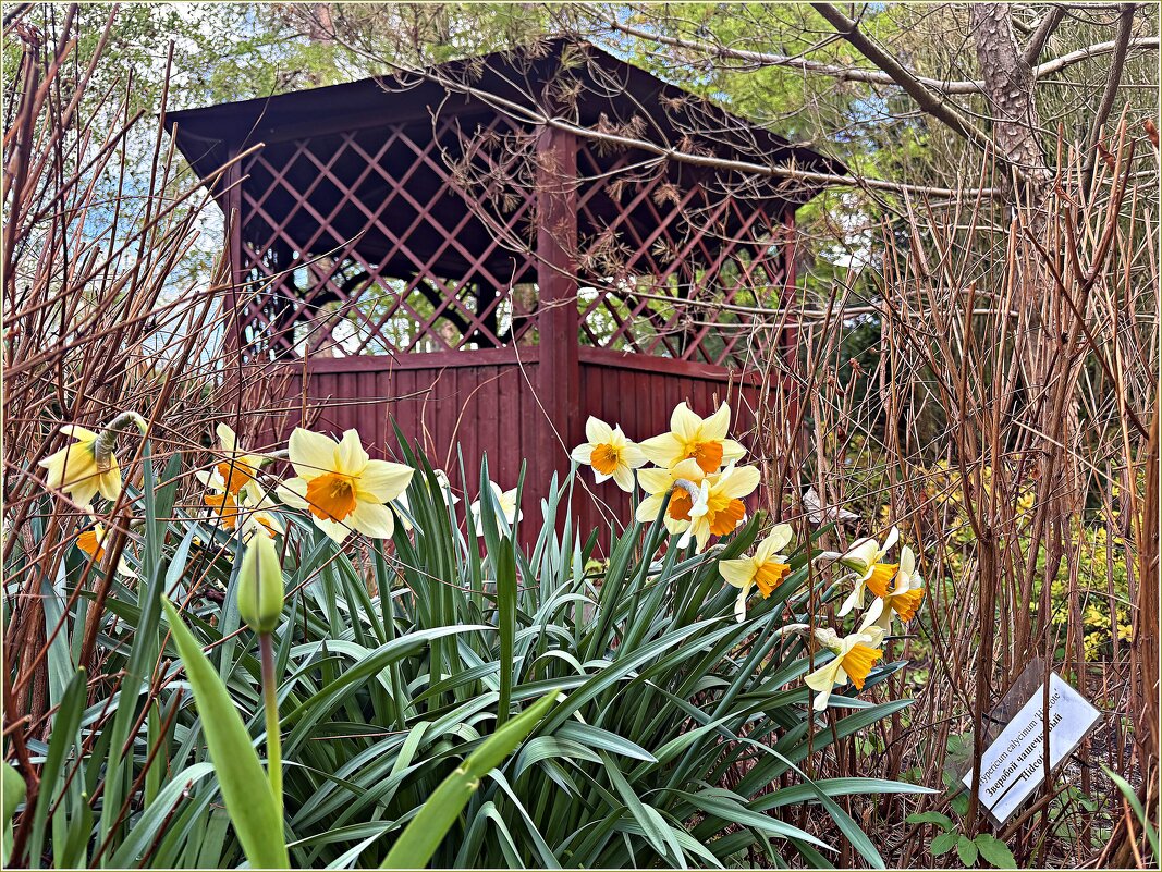 ****** - Валерия Комова