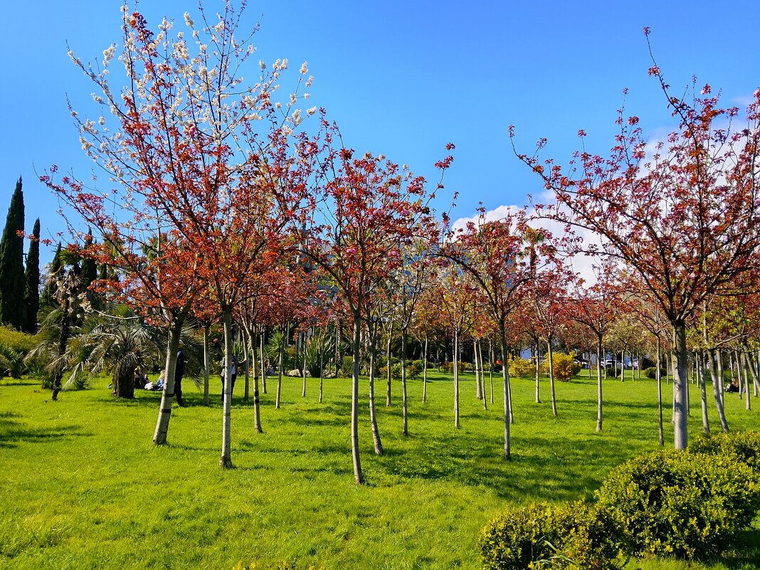 ПРОБУЖДЕНИЕ - Tata Wolf