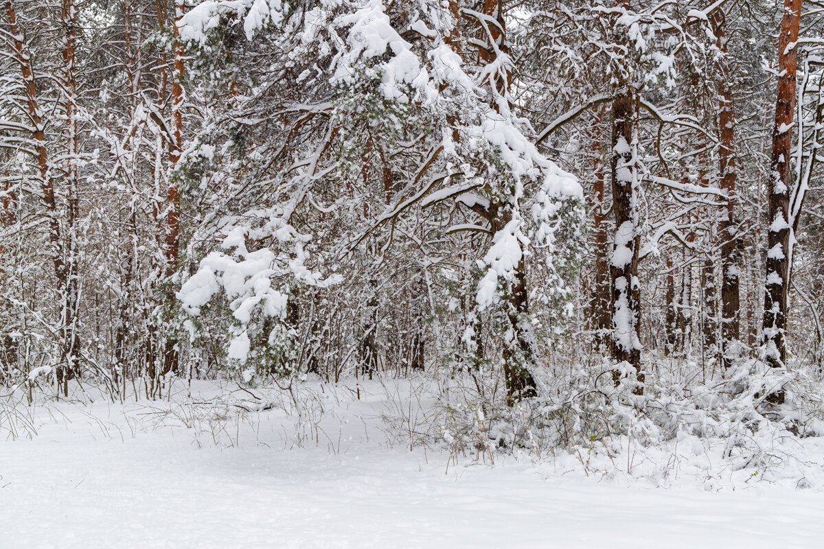 Снежный апрельский пейзаж - Александр Синдерёв