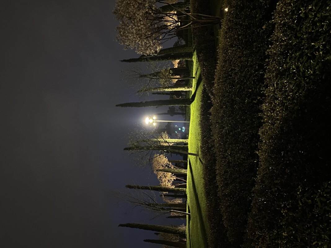 Фонарь - М С