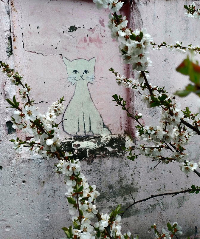 *** - Валентина Береснева