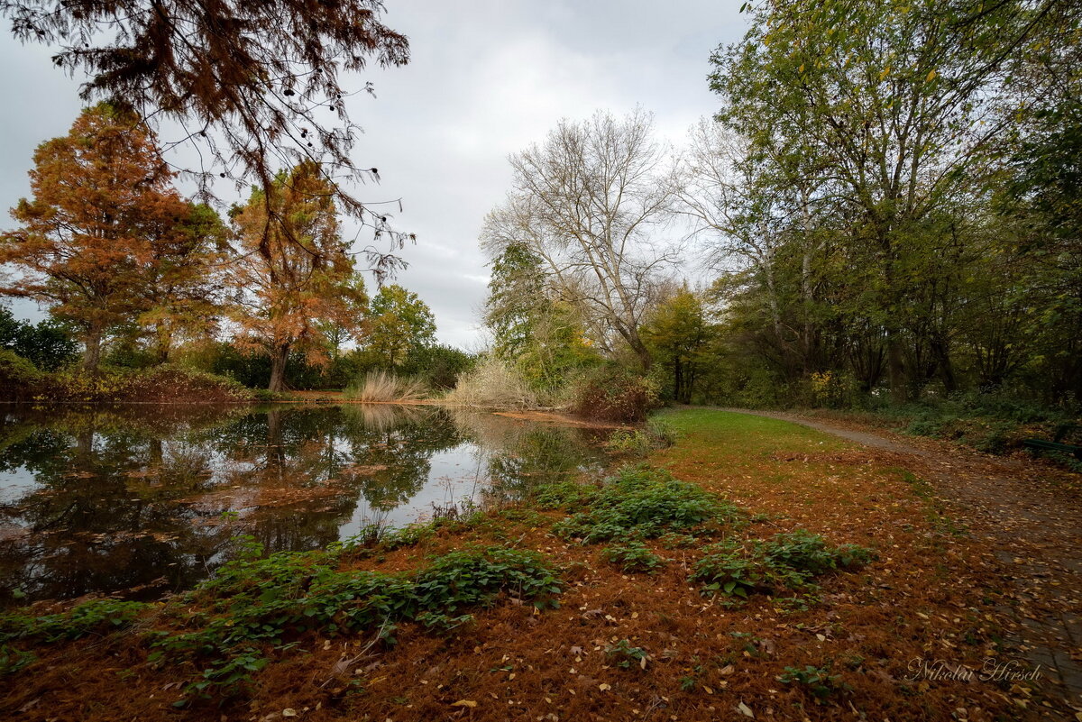 Осенней порой... - Николай Гирш