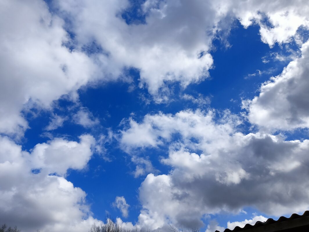 хоровод небесный - Владимир 