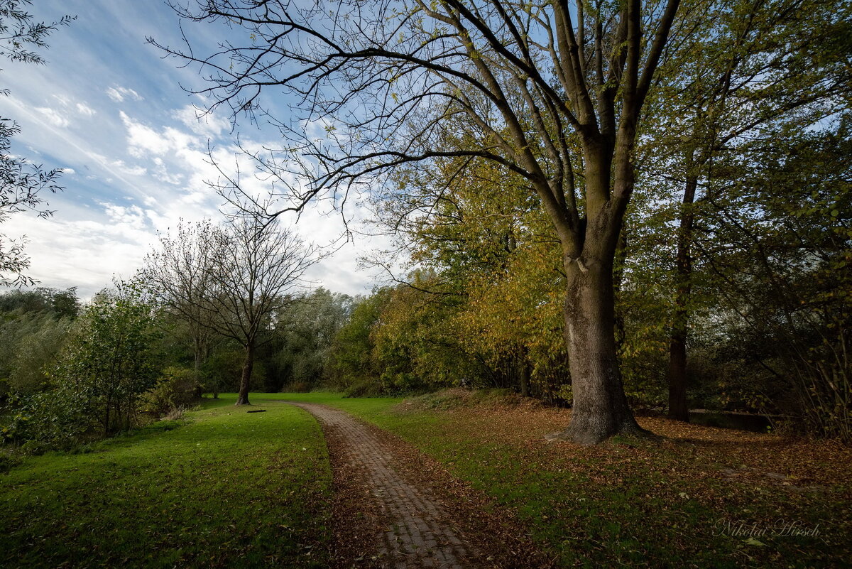 По каменной дорожке... - Николай Гирш
