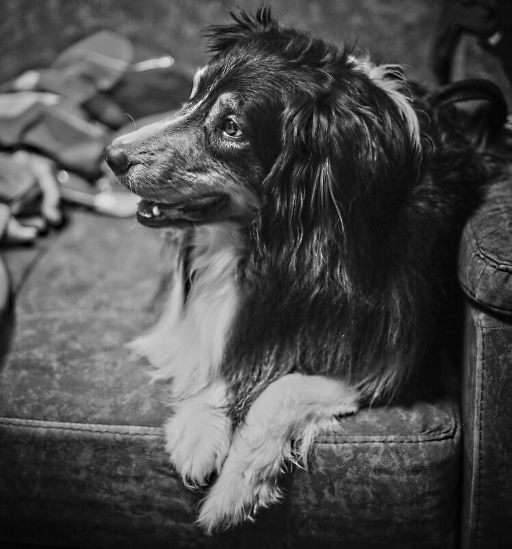 Слушатель - Артём Евтюхов