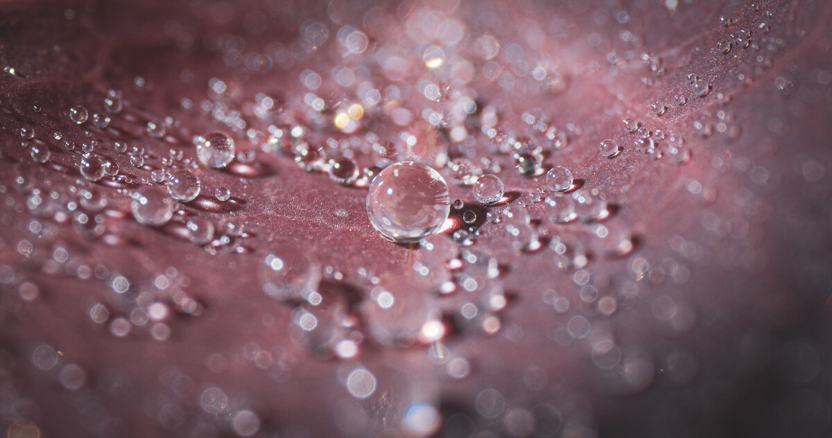 Утренняя Роса - Игорь 