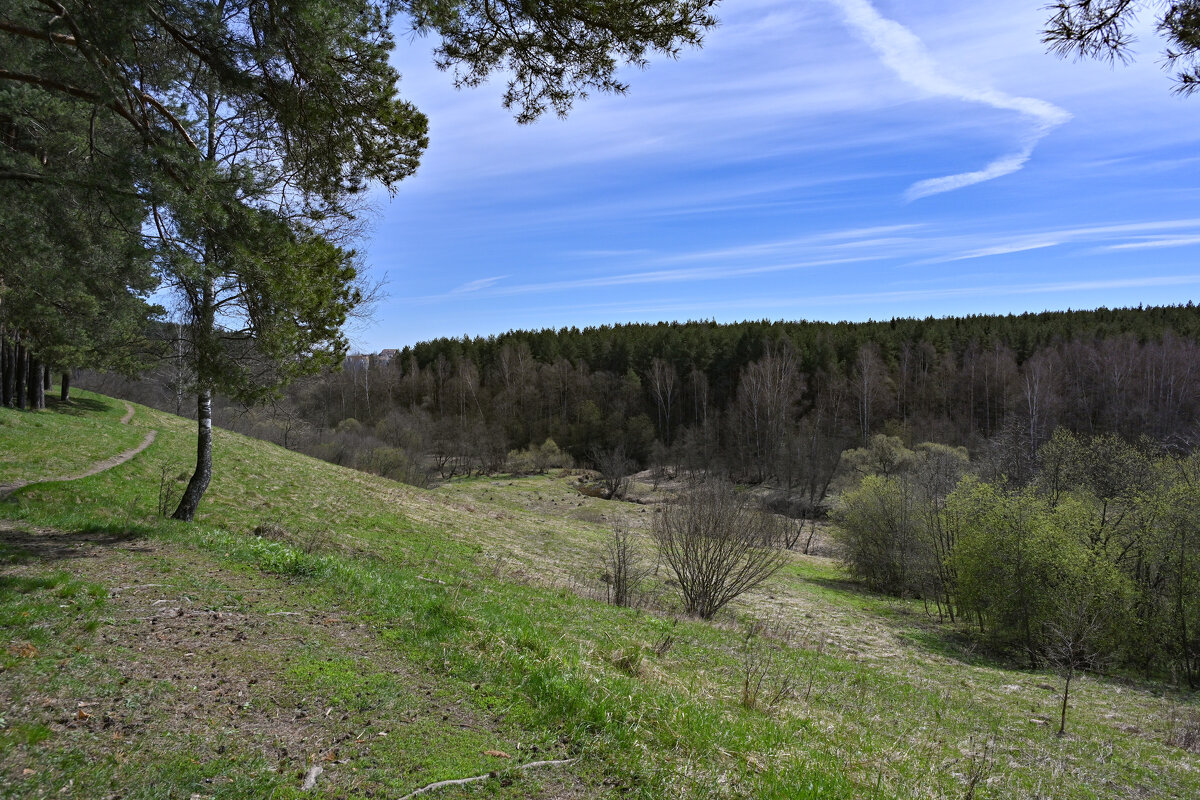 Подмосковье - Вадим 