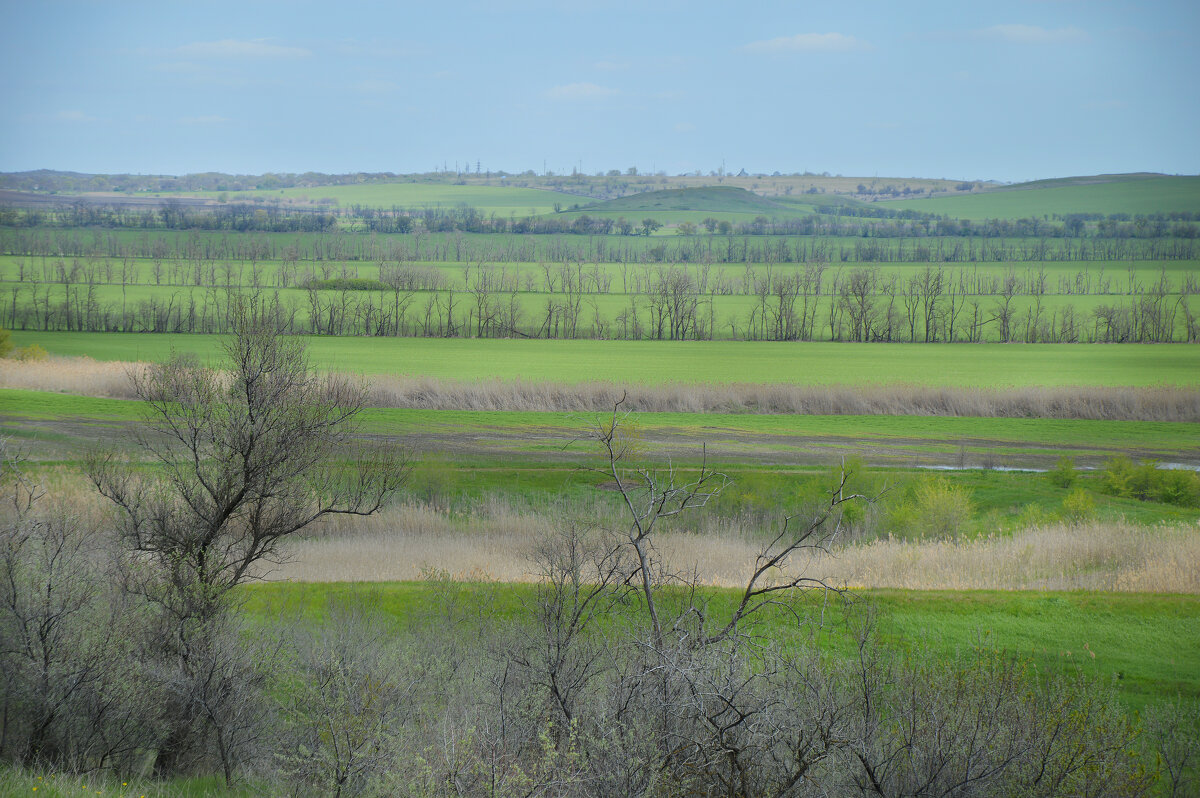 Степная геометрия - Надежда Куркина 