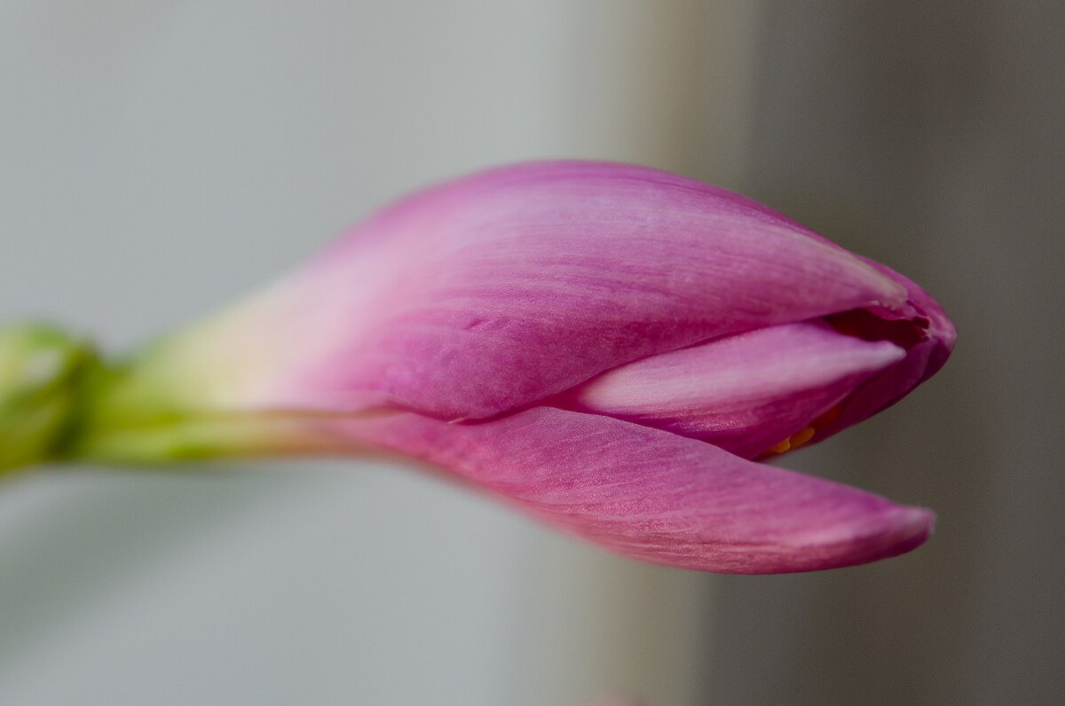 Пробуждение - Виктор Иванович Чернюк