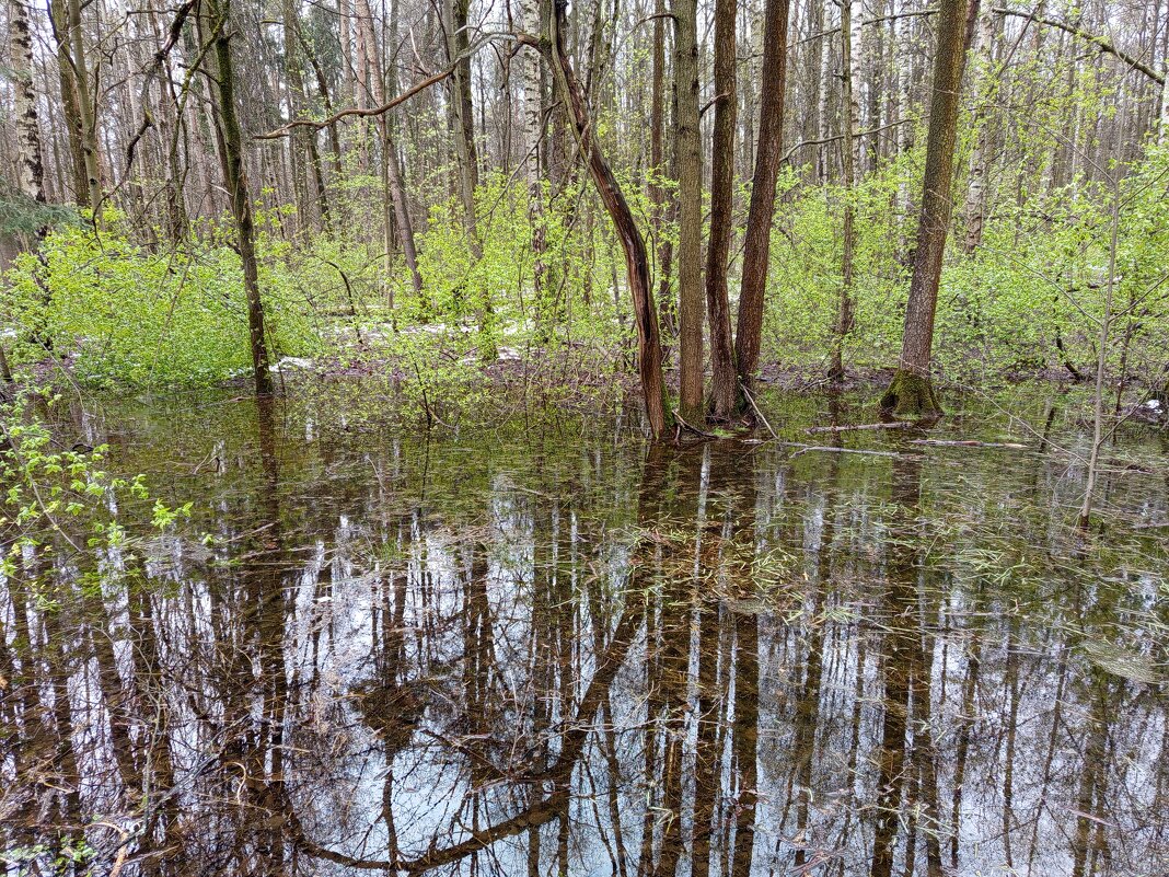 Ну, Очень скромное обаяние апреля - Андрей Лукьянов