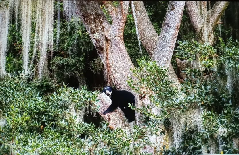 И сказал Лёха - "Отдохнем малёха..." - Валерий Кокорев