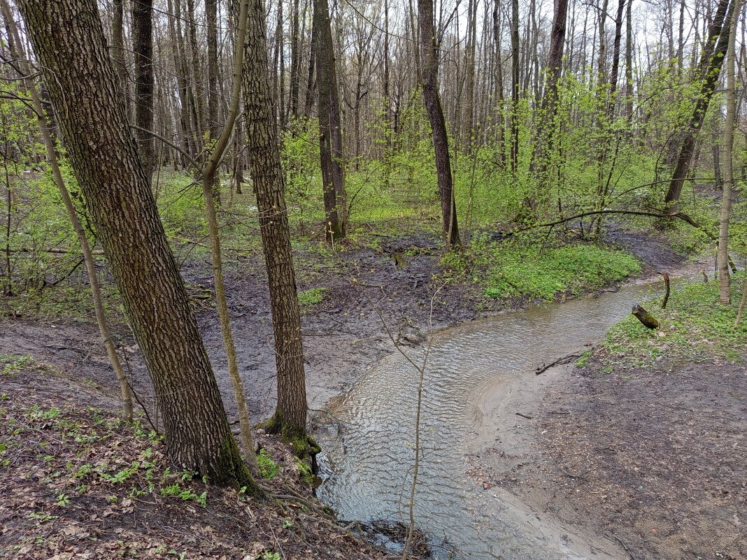 Ну, Очень скромное обаяние апреля - Андрей Лукьянов