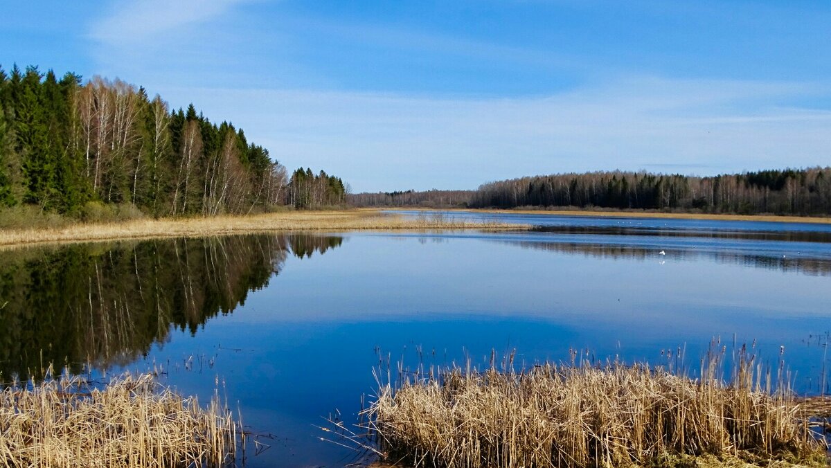 Про озёра Смоленщины. - Милешкин Владимир Алексеевич 