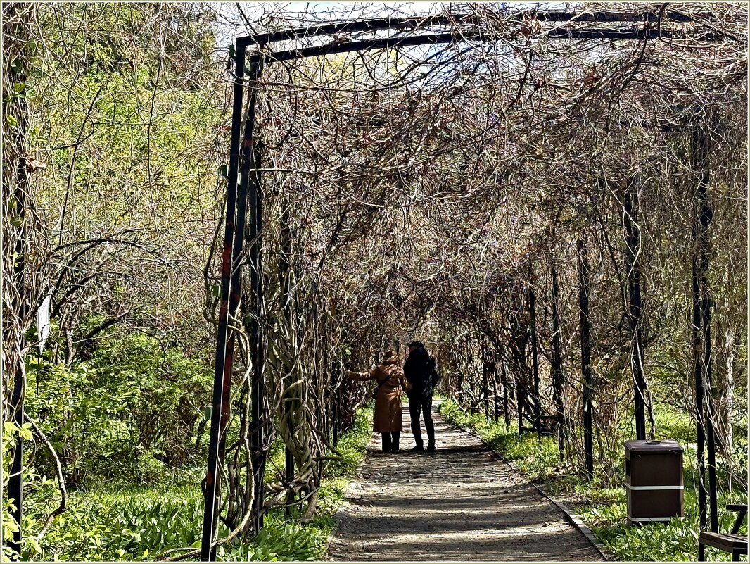 В Ботаническом саду. - Валерия Комова