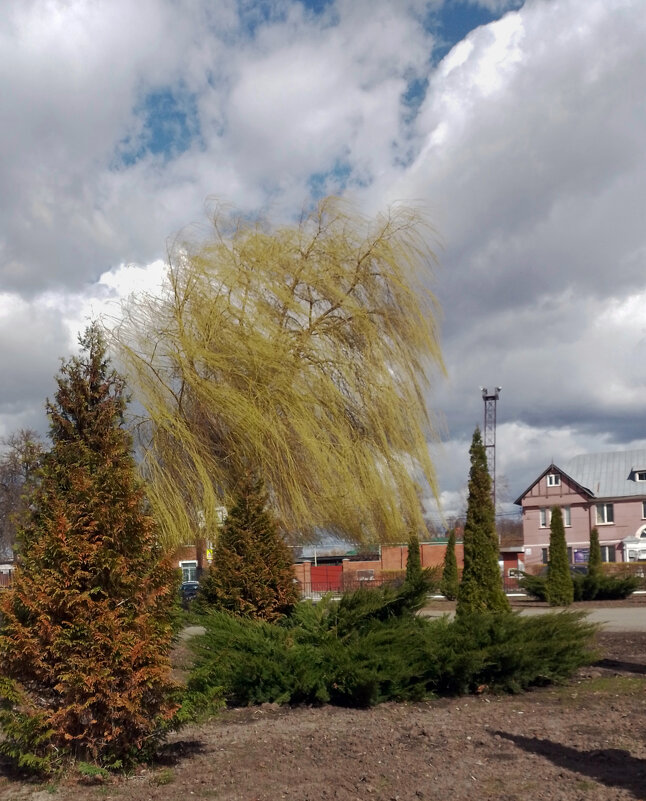 *** - Валентина Береснева