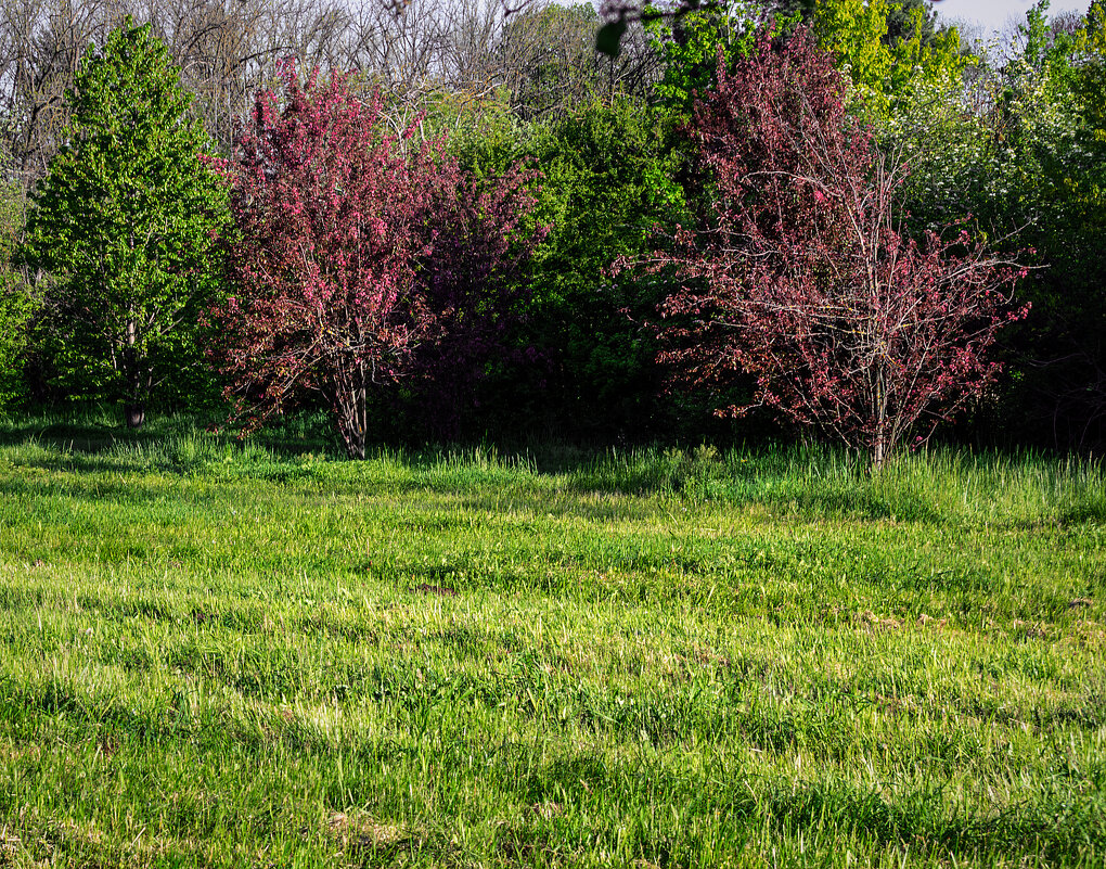 ...красное на чёрном... Правда не совсем красное, и не совсем на чёрном - Игорь Протасов