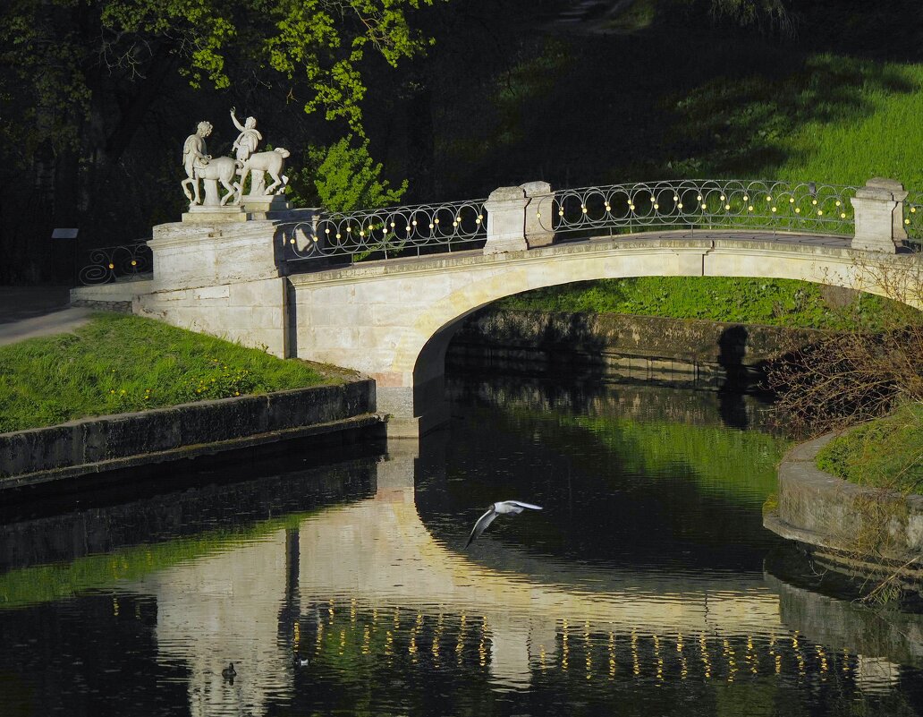 В Павловском парке - Магомед .