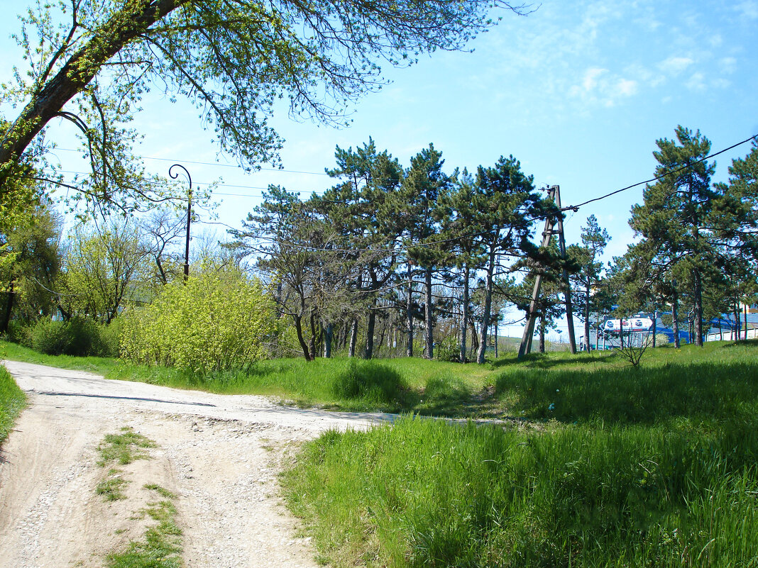 Весенний  пейзаж - Валентин Семчишин