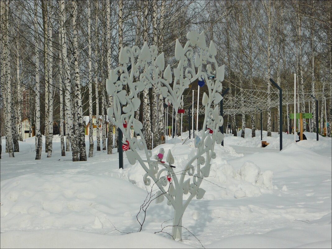 На фоне берёзок! - Надежда 