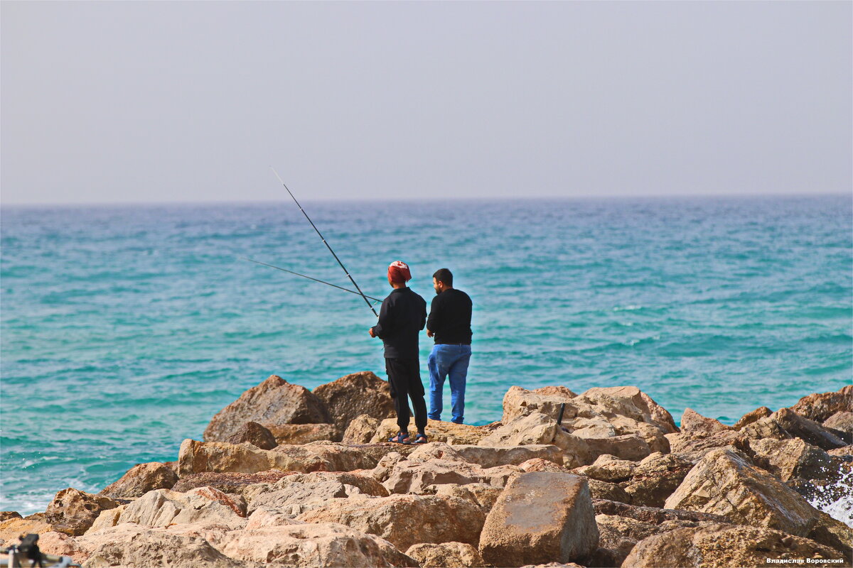 Репортаж 2026 - Владислав Воровский 