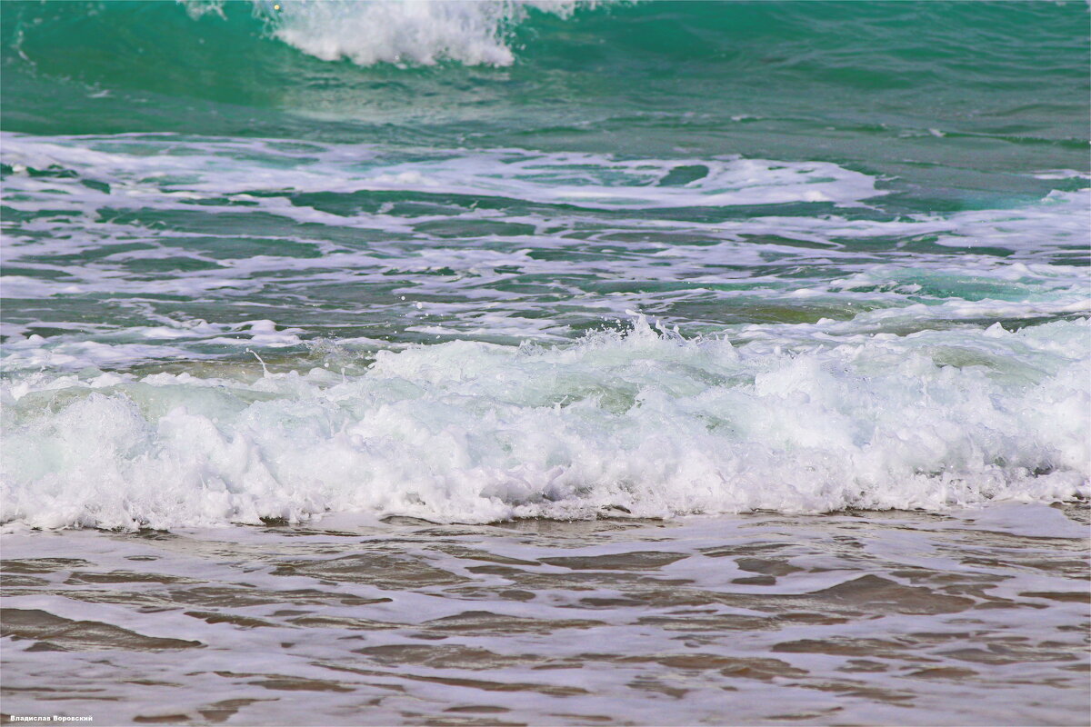 События /Репортаж 2026 - Владислав Воровский 