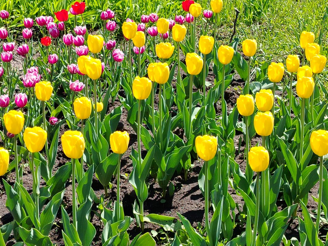 Весна в Самаре - Надежда 